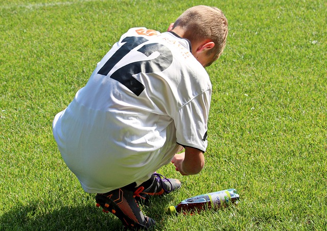 引了众多目 引了众多目