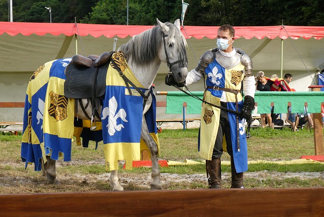 将是两国球 将是两国球