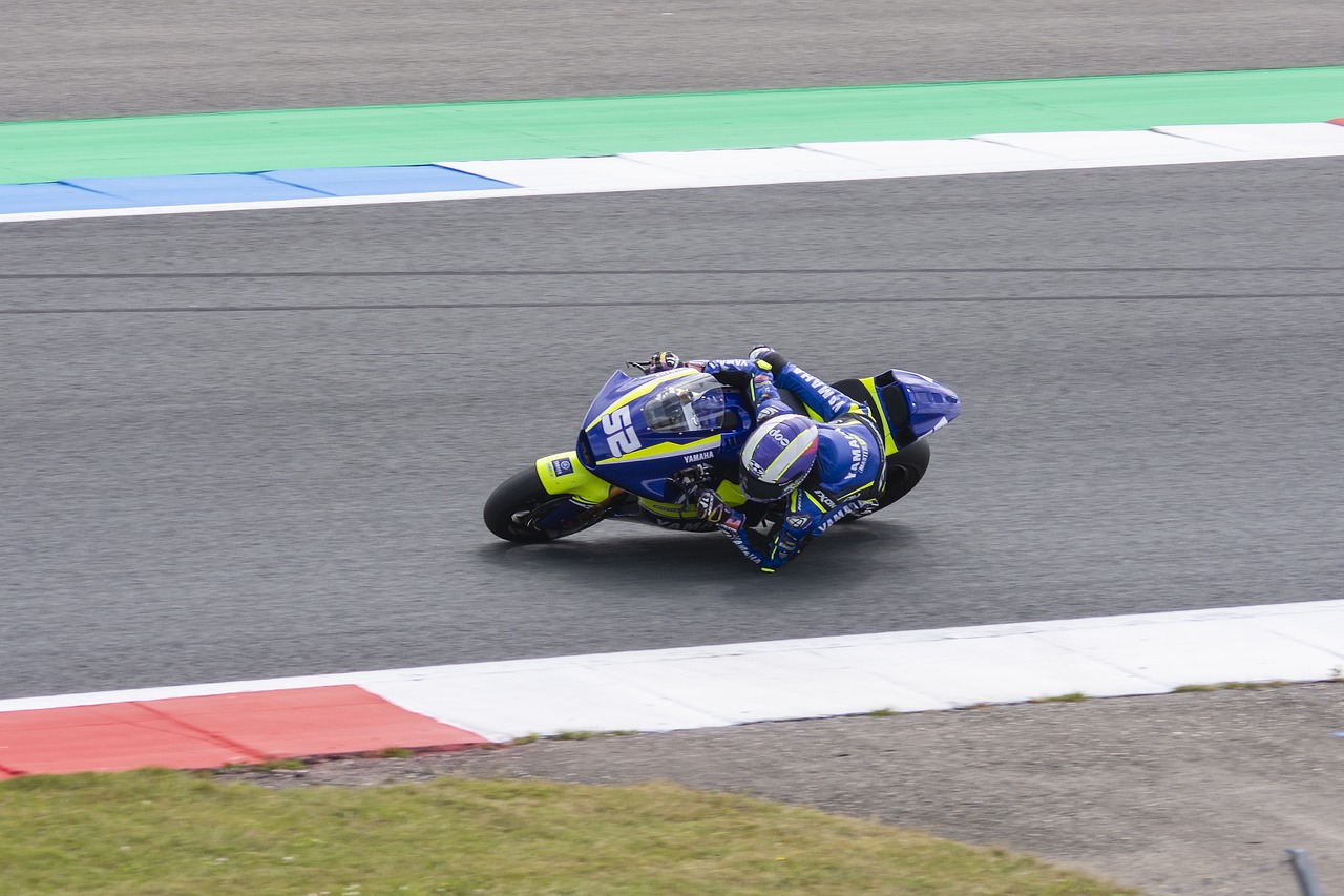 也对老牌选 也对老牌选